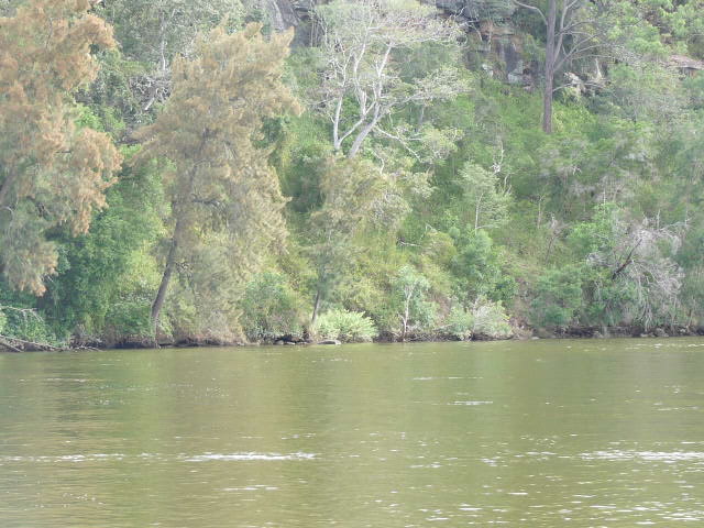 Bents Basin, Gulger, Nepean River